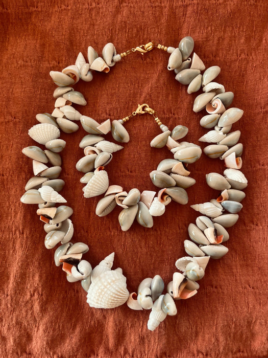 Multicolour Shell necklace