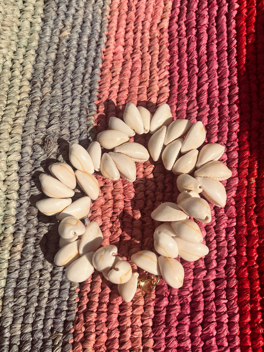 Shell bracelet